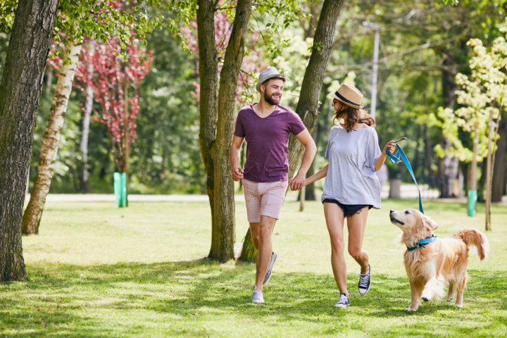 公園を散歩する人と犬