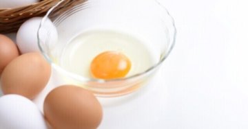 卵に含まれる栄養素は優秀なのか？～練馬・江古田・小竹向原のパーソナル　ジム～の画像