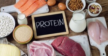 中高年こそタンパク質？タンパク質の重要性(ダイエット専門駒沢大学パーソナルトレーニング　ジム)の画像