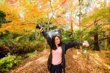 紅葉の色が衝動を抑える理由｜自然が習慣を整えるメカニズムの画像