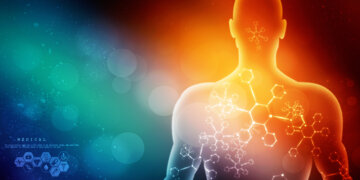 筋肉痛がないと筋肥大しない？科学的に整理｜駒沢のパーソナルジム解説の画像