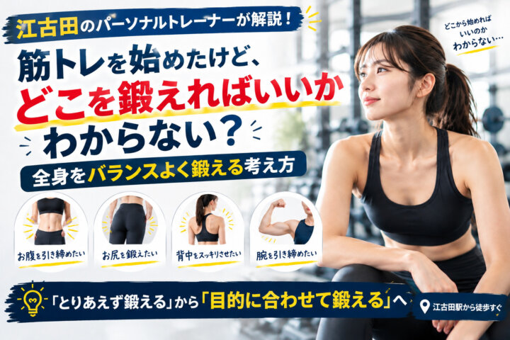 筋トレを始めたけど、どこを鍛えればいいかわからない？｜全身をバランスよく鍛える考え方(ダイエット専門江古田パーソナルトレーニング　ジム)の画像